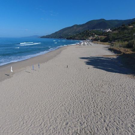 Residence Le Palme - Appartamenti Sul Mare - Spiaggia Tra Palinuro E Caprioli Pisciotta Ngoại thất bức ảnh